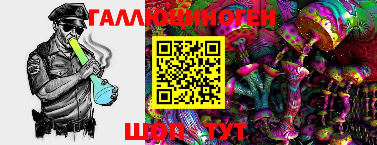 Псилоцибиновые грибы мицелий Губкинский