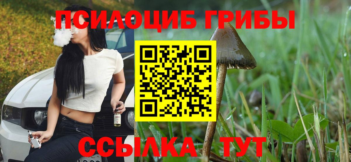 Псилоцибиновые грибы прущие грибы  Вход с VPN  Галлюциногенные грибы MAGIC MUSHROOMS  Губкинский 